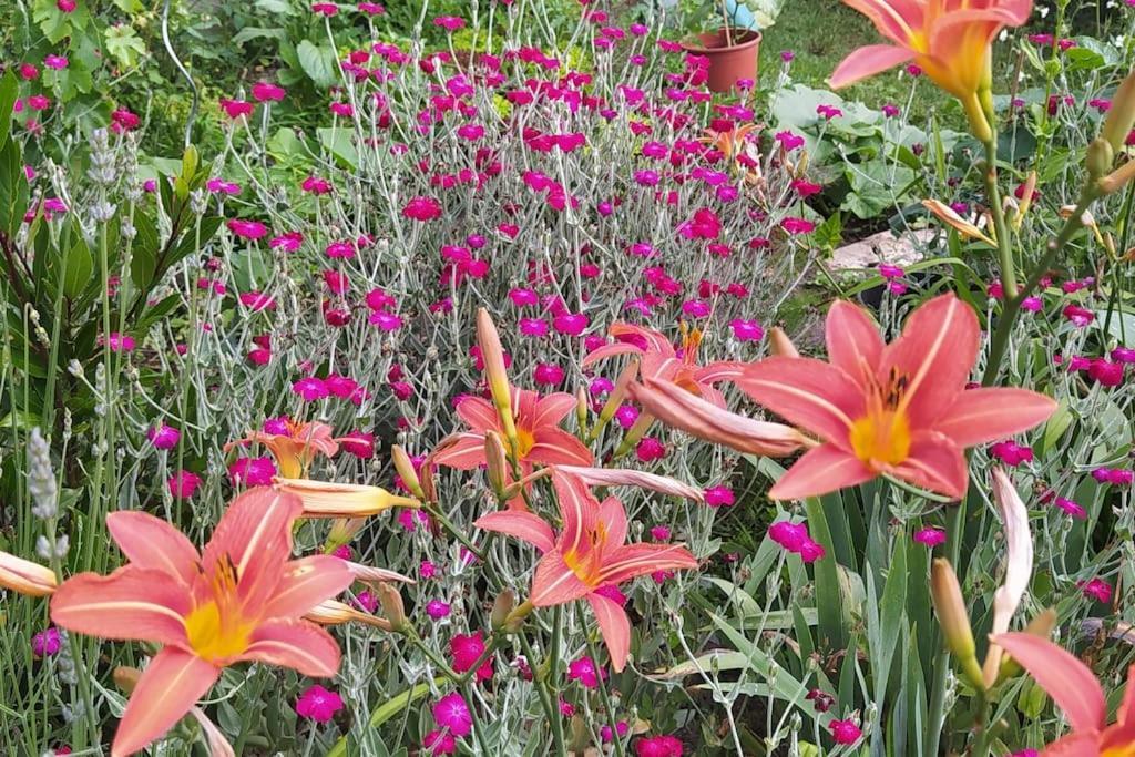 Gite Les Lilas La Genevraye Luaran gambar